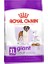 Maxi Dev Irklar Için Yetişkin Köpek Maması 15 Kg 1
