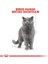 British Shorthair için Yaş Kedi Maması 85g 4