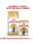 British Shorthair için Yaş Kedi Maması 85g 7