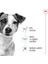 Mini Adult +8 Yaş Yaşlı Köpek Maması 2 Kg 4