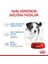 Küçük Irklar için Yavru Yaş Köpek Maması 12 x 85g 3