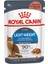 Lightweight Yaş Kedi Maması 85g 1