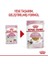Yavru Kediler için Jöle İçerisnde Yaş Kedi Maması 85g 5