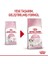 Royal Kitten Yavru Kediler için Kuru Kedi Maması 4kg 12