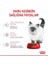 Royal Kitten Yavru Kediler için Kuru Kedi Maması 4kg 13