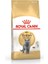British Shorthair Için Kuru Kedi Maması 10kg 1