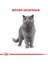 British Shorthair Yetişkin Kedi Maması 4 Kg 10