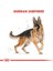 German Shepherd Adult Yetişkin Köpek Maması 11 Kg 5
