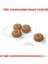 Mini Sterilised Kısırlaştırılmış Köpekler için Yetişkin Köpek Maması 3kg 9