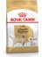 Labrador Retriever Adult Yetişkin Köpek Maması 12 Kg 1