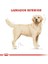 Labrador Retriever Adult Yetişkin Köpek Maması 12 Kg 5