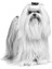 Maltese Adult Yetişkin Köpek Maması 1,5 Kg 8