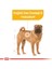 Medium Dermacomfort Yetişkin Köpek Maması 12 Kg 4