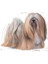 Mini Exigent Seçici Köpekler için Kuru Köpek Maması 3kg 8