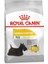 CCN Mini Dermacomfort Adult Küçük Irk Yetişkin Köpek 1