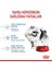 Mını Indoor Puppy Küçük Irklar Için Indoor Yavru Kuru Köpek Mamas 3