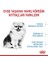 Mını Indoor Puppy Küçük Irklar Için Indoor Yavru Kuru Köpek Mamas 5