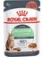 Sindirim Hassasiyeti Olan Kediler için Yaş Kedi Maması 85g 7