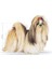 Shih Tzu Adult Yetişkin Köpek Maması 1,5 Kg 13