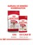 Orta Irklar için Yaş Köpek Maması 140g 4