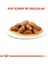 Orta Irklar için Yaş Köpek Maması 140g 6