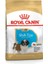 Shih Tzu Yavru Köpek Maması 1.5kg 6