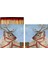 Dashing Reindeer Matches Box Of 60 1