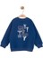 Erkek Bebek Plant Sweatshirt 1-4 Yaş Mavi 3