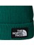 Tnf Logo Box Cuffed Bere NF0A8CHENL11 3