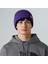 Tnf Logo Box Cuffed Bere NF0A8CHENL41 2