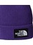Tnf Logo Box Cuffed Bere NF0A8CHENL41 3