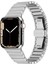Apple Watch Se 3 40MM ile Uyumlu Balık Sırtı Paslanmaz Çelik Kordon - FC1099 1