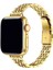 Apple Watch Se 3 40MM ile Uyumlu Ince Rolex Tasarım Metal Kordon Kayış - FC1060 1