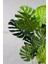 Yapay Ağaç Monstera Bambu Gövdeli 150CM Devetabanı Ağacı Büyük Boy Kırıkbeyaz Renk Yalı Saksıda 5