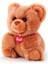 Peluş Ayı 20 cm 1