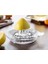 Cam Limon Sıkacağı 1