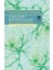 Ilişkilerin Nörobiyolojisi - Beyni Bilerek Sevmek 1