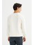 Regular Fit Normal Kesim Bisiklet Yaka Baskılı Ekru Sweatshirt 5