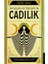 Avrupa’da ve Osmanlı’da Cadılık 1