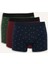 Regular Fit Puantiye 3'lü Boxer F9033AX25AU 1