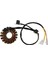 Suzuki GN250 Gn 250 Magneto Stator Magneto Bobini 250CC Şarj Bobinleri Için Motosiklet Alternatör Jeneratörü (Yurt Dışından) 1