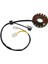 Suzuki GN250 Gn 250 Magneto Stator Magneto Bobini 250CC Şarj Bobinleri Için Motosiklet Alternatör Jeneratörü (Yurt Dışından) 4