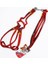 Köpek Uzatma + Göğüs Tasması Kırmızı 120CM 2
