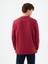 Regular Fit Erkek Sweatshirt 8
