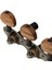 2pieces Gitar Tuner Ayar Tuşları Klasik Gitar Için Makine Kafaları Mandal (Yurt Dışından) 5