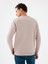 Regular Fit Erkek Sweatshirt 8