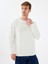 Regular Fit Erkek Sweatshirt 6