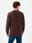 Regular Fit Erkek Sweatshirt 8