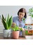 Organik Sıvı Solucan Gübresi 500ML 9