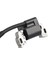Briggs &amp; Stratton Için Yüksek Voltaj Paketi Ateşleme Bobini 595304 592841 799650 795315 (Yurt Dışından) 5